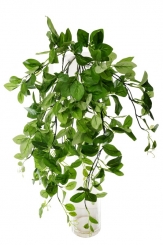 011 Veštaćke lozice